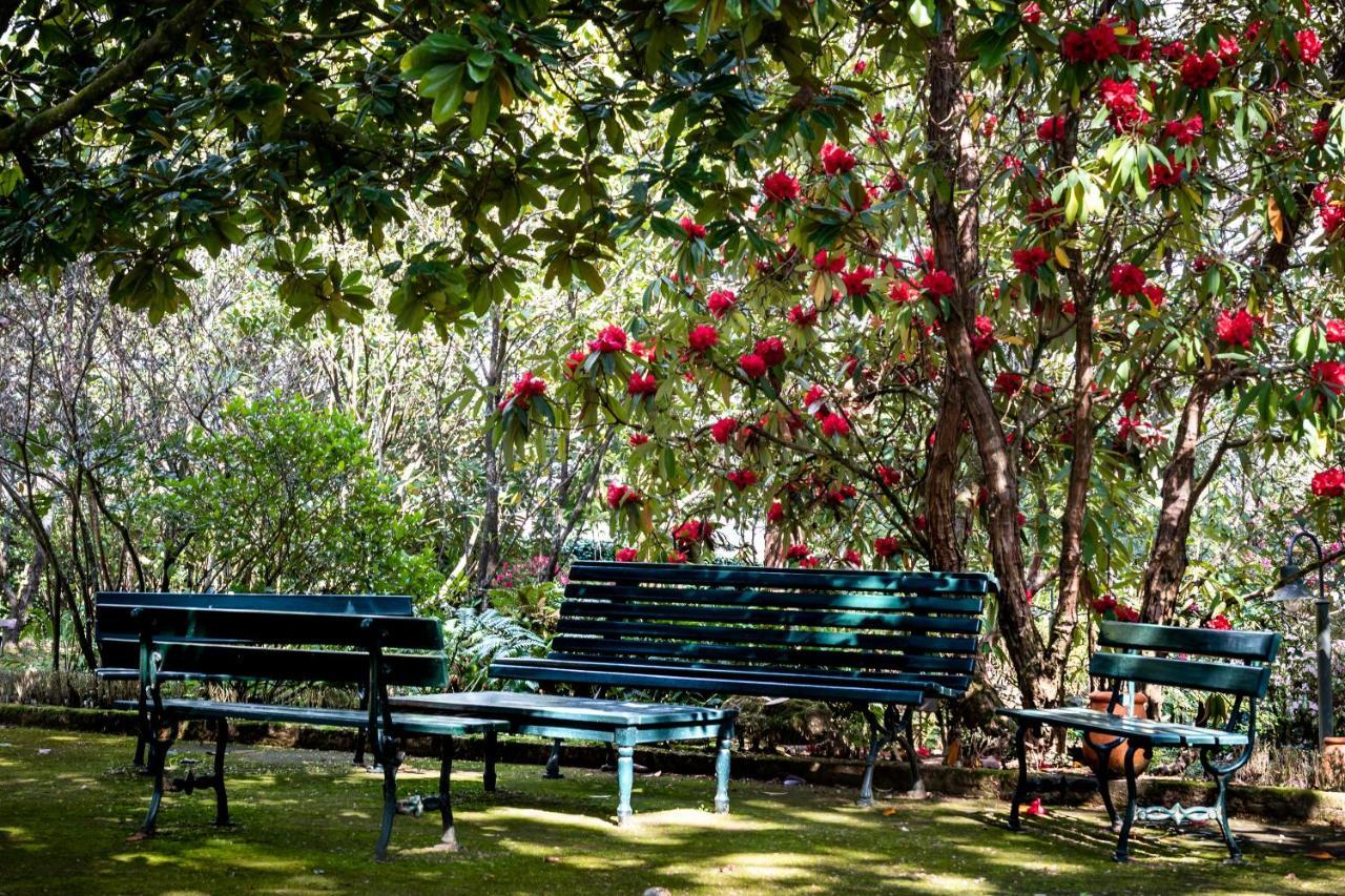 Quinta De Mouraes Casa Dos Rododendros Pensionat Lever Eksteriør billede