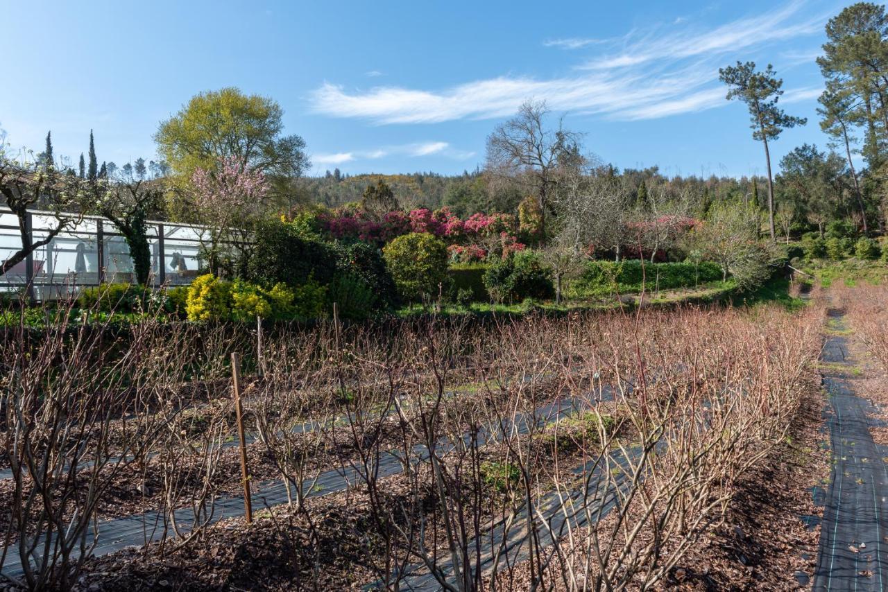 Quinta De Mouraes Casa Dos Rododendros Pensionat Lever Eksteriør billede