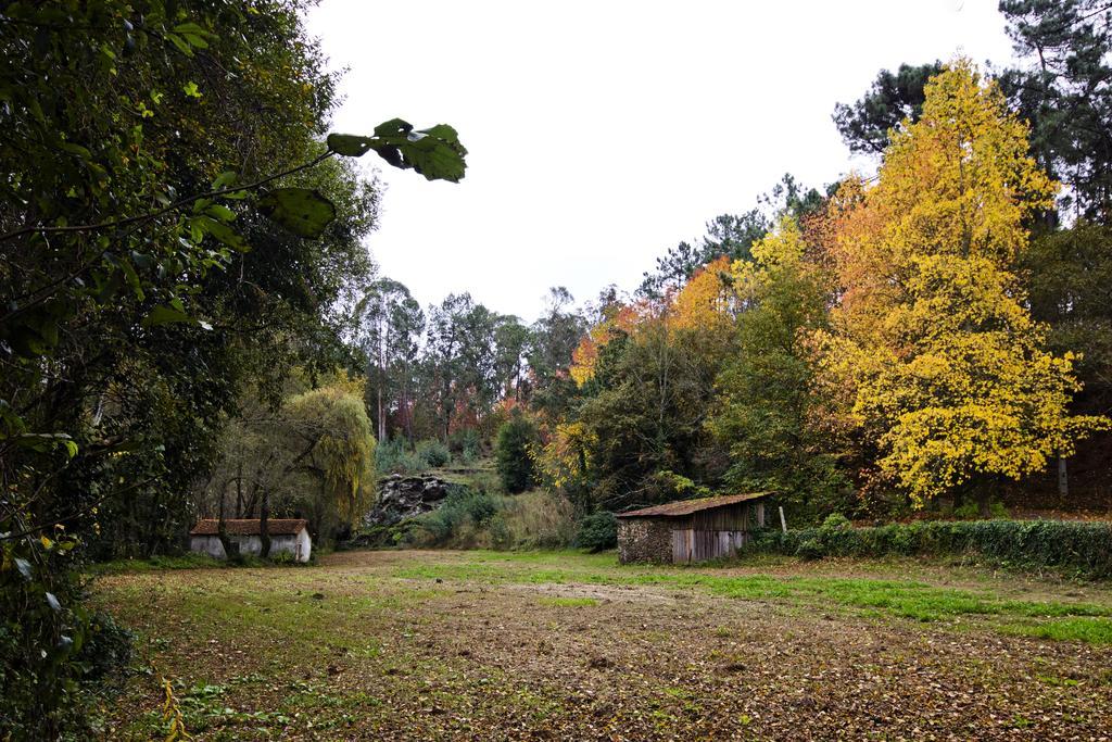 Quinta De Mouraes Casa Dos Rododendros Pensionat Lever Eksteriør billede