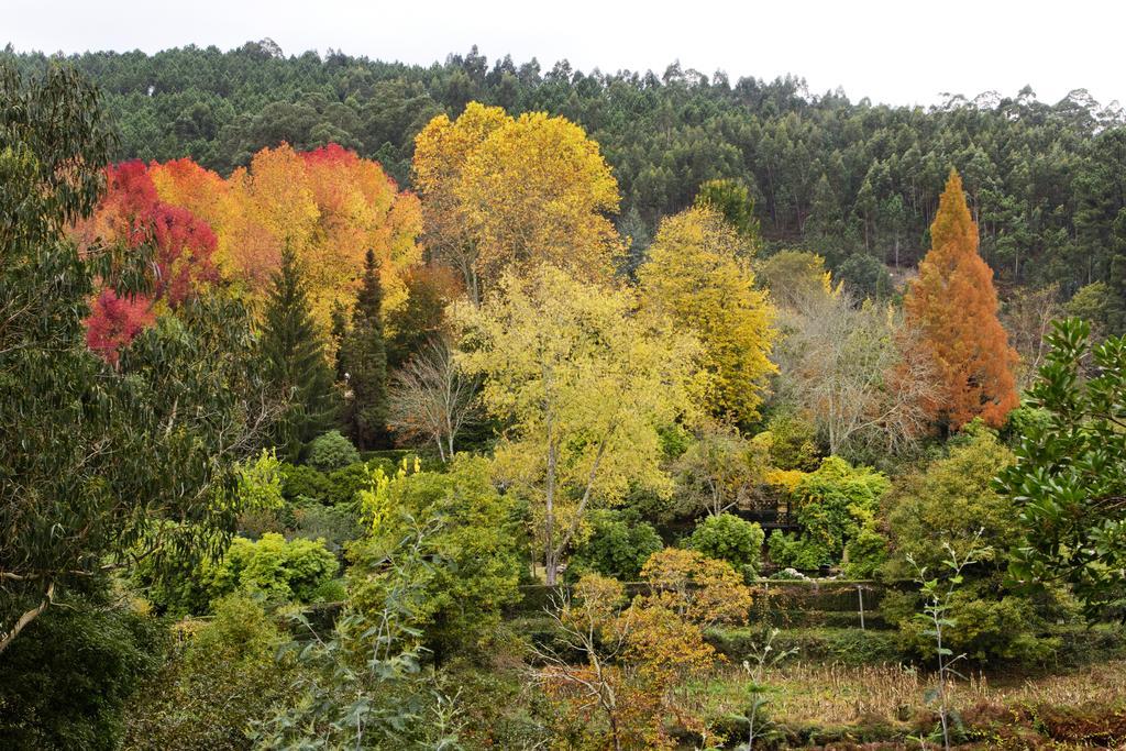 Quinta De Mouraes Casa Dos Rododendros Pensionat Lever Eksteriør billede