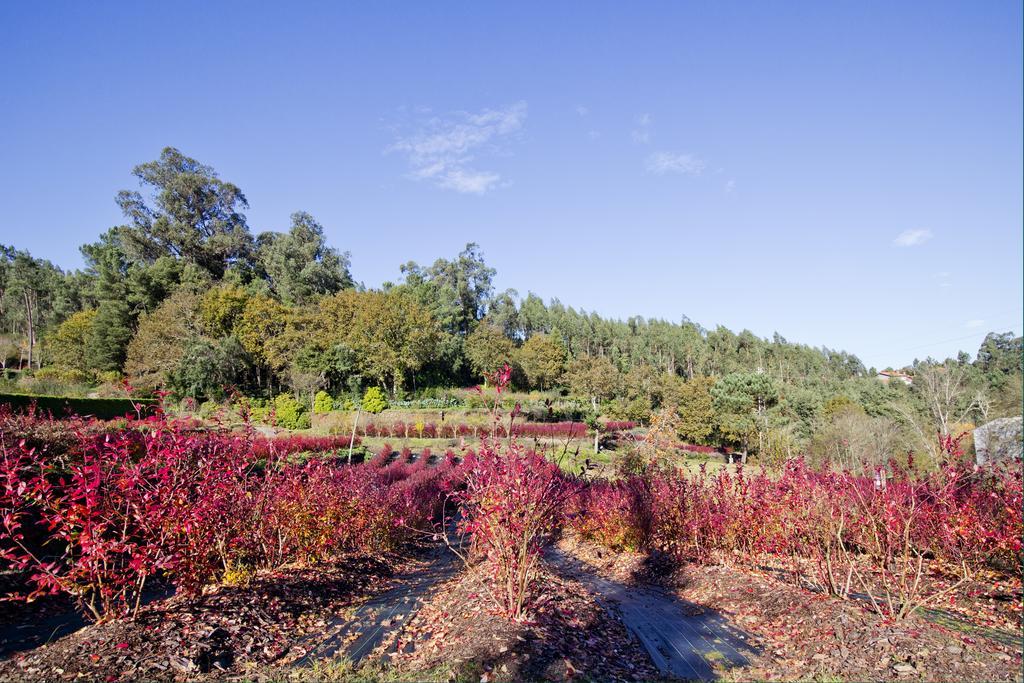 Quinta De Mouraes Casa Dos Rododendros Pensionat Lever Eksteriør billede