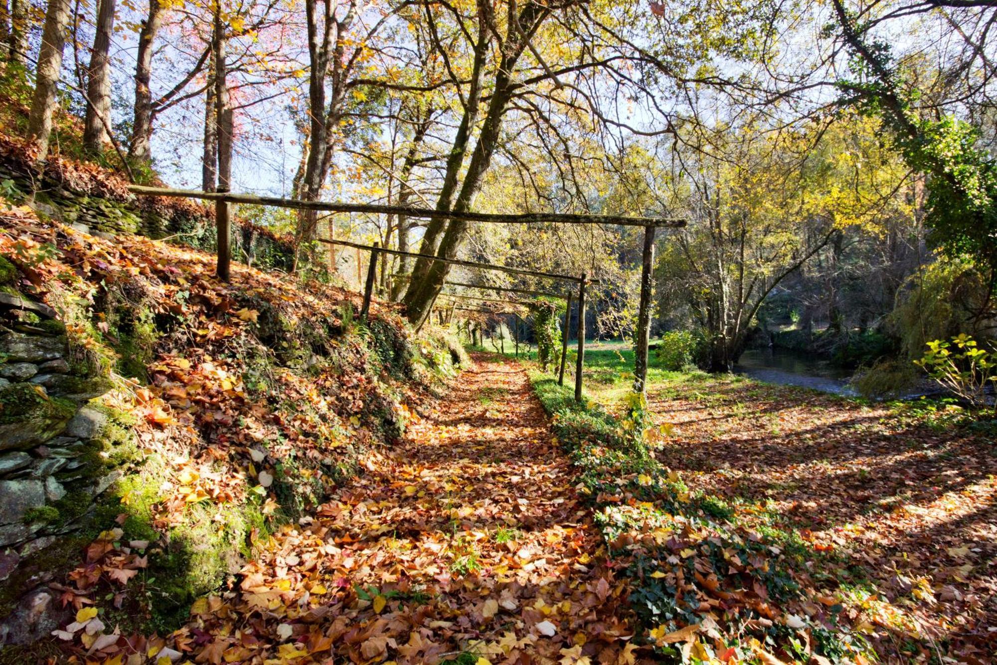 Quinta De Mouraes Casa Dos Rododendros Pensionat Lever Eksteriør billede